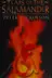 Book cover of The tears of the salamander