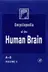 Book cover of Encyclopedia of the Human Brain, Four-Volume Set