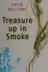 Book cover of Treasure Up in Smoke (Camden)