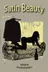 Book cover of Satin Beauty