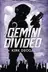 Book cover of Gemini Divided