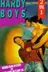 Book cover of The hooded hawk mystery