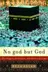 Book cover of No god but God