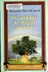 Book cover of The miracle at Speedy Motors