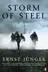 Book cover of Storm of Steel