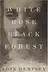 Book cover of White rose black forest