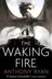 Book cover of The Waking Fire