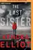 Book cover of The Last Sister