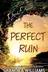 Book cover of The Perfect Ruin