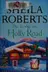 Book cover of The Lodge on Holly Road