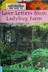 Book cover of Love letters from Ladybug Farm