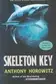 Book cover of Skeleton Key