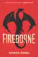 Book cover of Fireborne