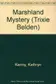 Book cover of Trixie Belden and the Marshland Mystery