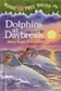 Book cover of Dolphins at Daybreak