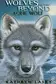 Book cover of Lone wolf