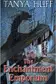 Book cover of The Enchantment Emporium