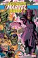 Book cover of Die Geschichte des Marvel-Universum