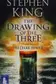 Book cover of The Drawing of the Three