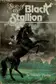Book cover of Son of the Black Stallion