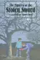 Book cover of The Mystery of the Stolen Sword
