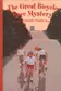 Book cover of The Great Bicycle Race Mystery