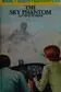 Book cover of The sky phantom