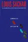 Book cover of Small Steps