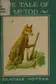 Book cover of The Tale of Mr. Tod