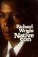Book cover of Native Son