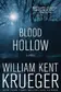 Book cover of Blood hollow