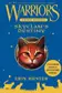 Book cover of Skyclan's Destiny