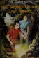 Book cover of The Secret of the Lost Tunnel