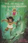 Book cover of The Secret of the Silver Dolphin