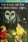 Book cover of The Clue of the Screeching Owl