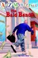 Book cover of The bald bandit