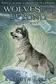 Book cover of Spirit wolf
