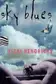 Book cover of Sky blues