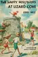 Book cover of The Happy Hollisters at Lizard Cove