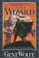 Book cover of The Wizard