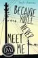 Book cover of Because You'll Never Meet Me