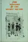 Book cover of The mystery of the secret square