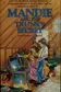 Book cover of Mandie and the trunk's secret