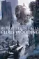 Book cover of Retribution Falls