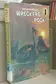 Book cover of The mystery of Wreckers' Rock