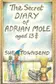 Book cover of The Secret Diary of Adrian Mole, Aged 13¾