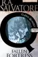 Book cover of The Fallen Fortress