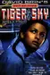 Book cover of Tiger in Sky