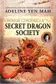 Book cover of Chinese Cinderella and the Secret Dragon Society