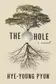Book cover of The hole